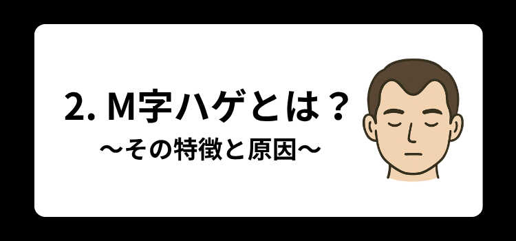 M字ハゲ 2