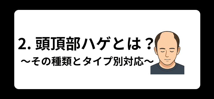 頭頂部ハゲ 2