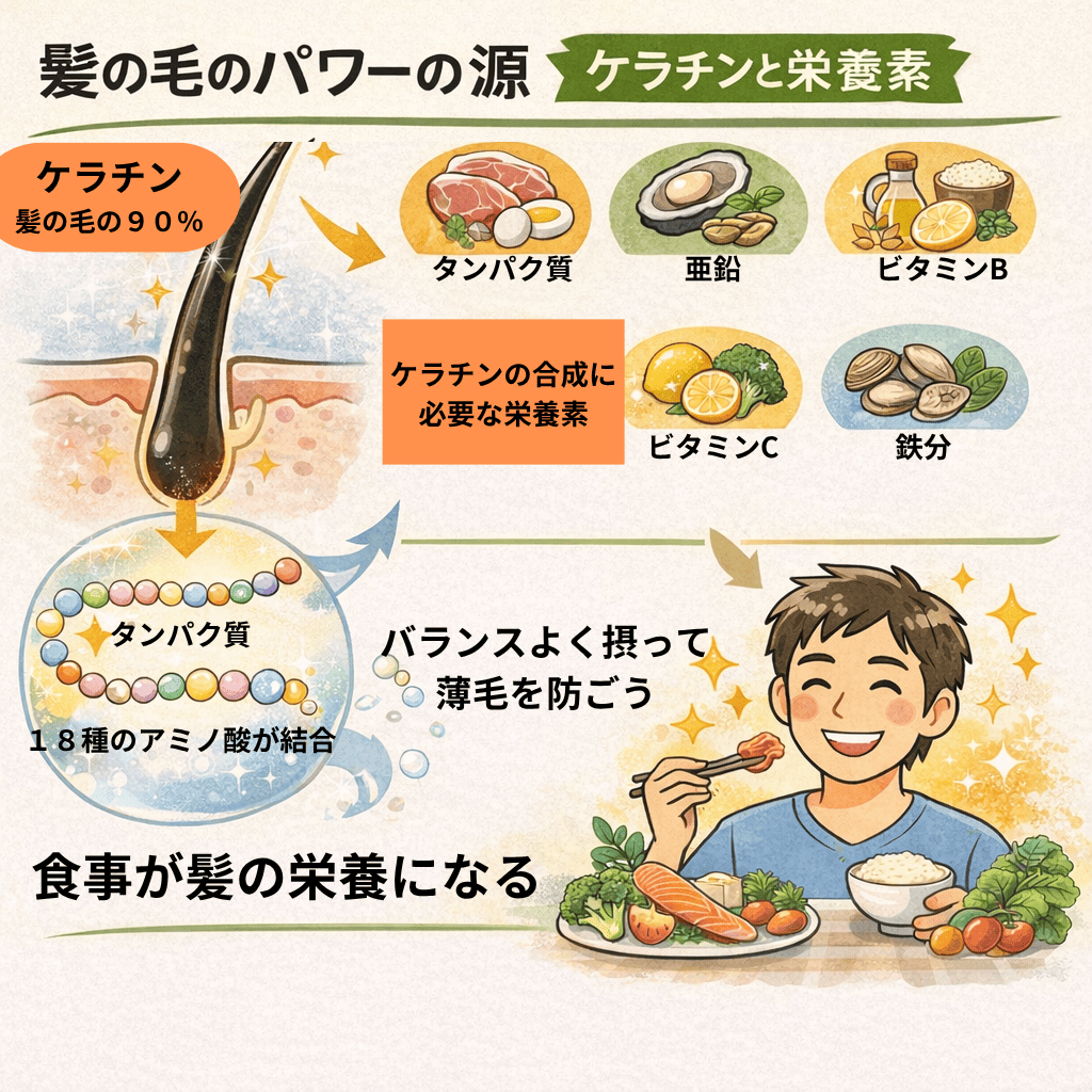 髪の毛に必要な栄養素