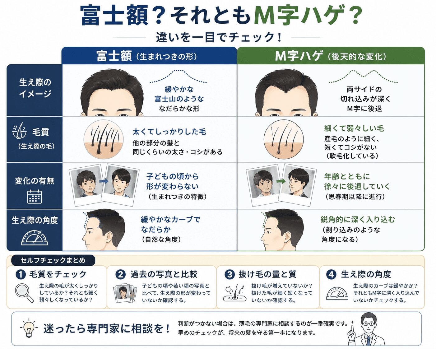 富士 額 と は