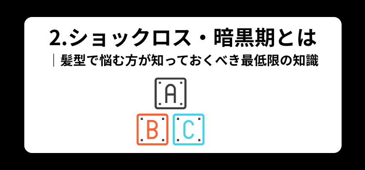 ショックロス　２