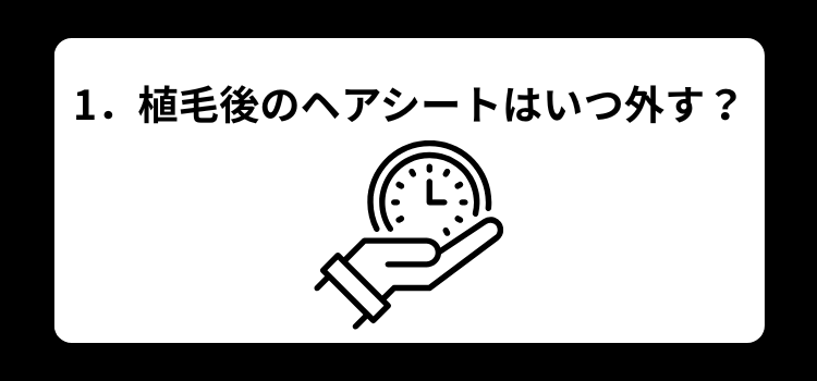 植毛後のヘアシートいつ外す　１